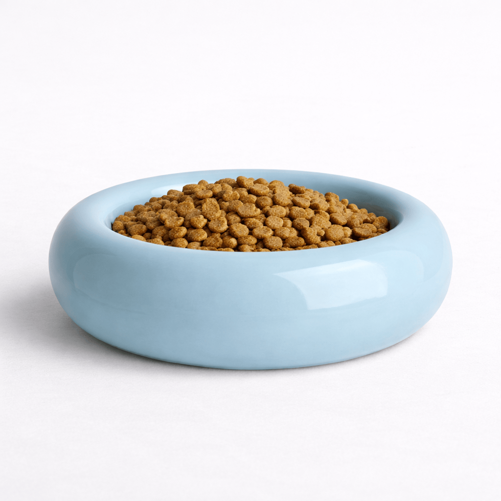 Gamelle pour Chat en Céramique en Forme de Donut