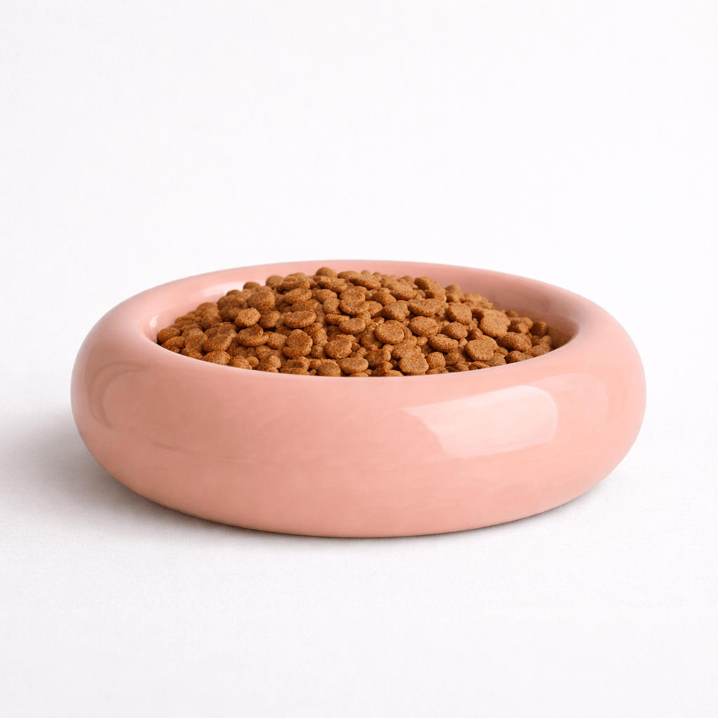 Gamelle pour Chat en Céramique en Forme de Donut