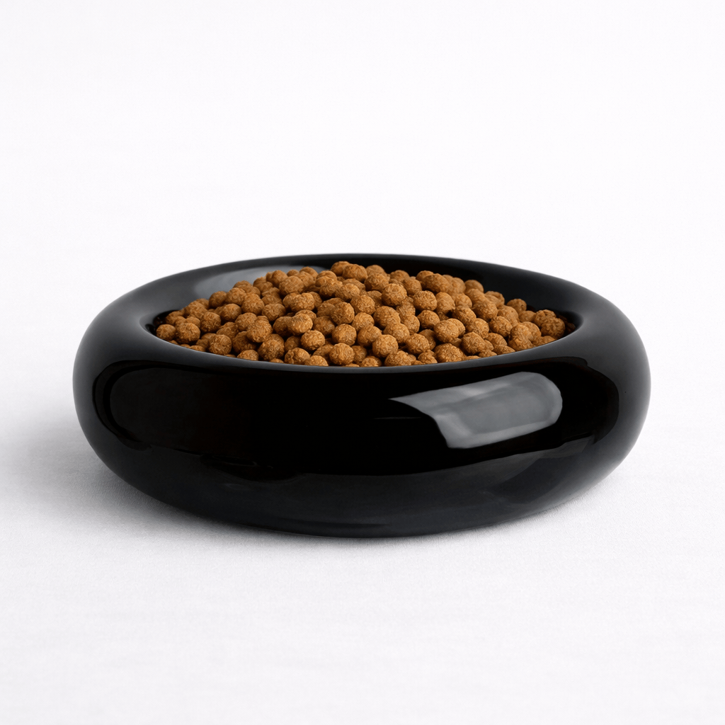 Gamelle pour Chat en Céramique en Forme de Donut