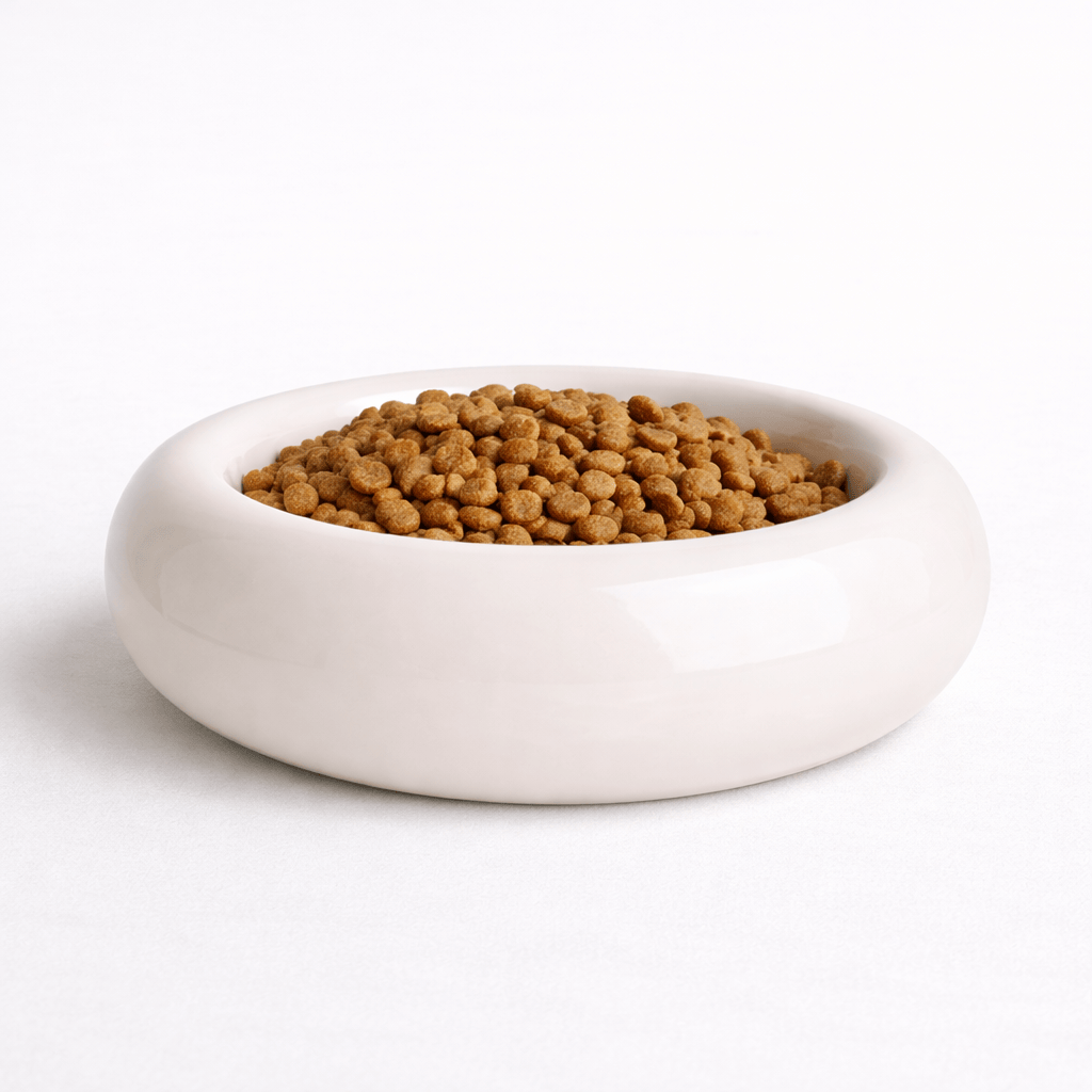 Gamelle pour Chat en Céramique en Forme de Donut