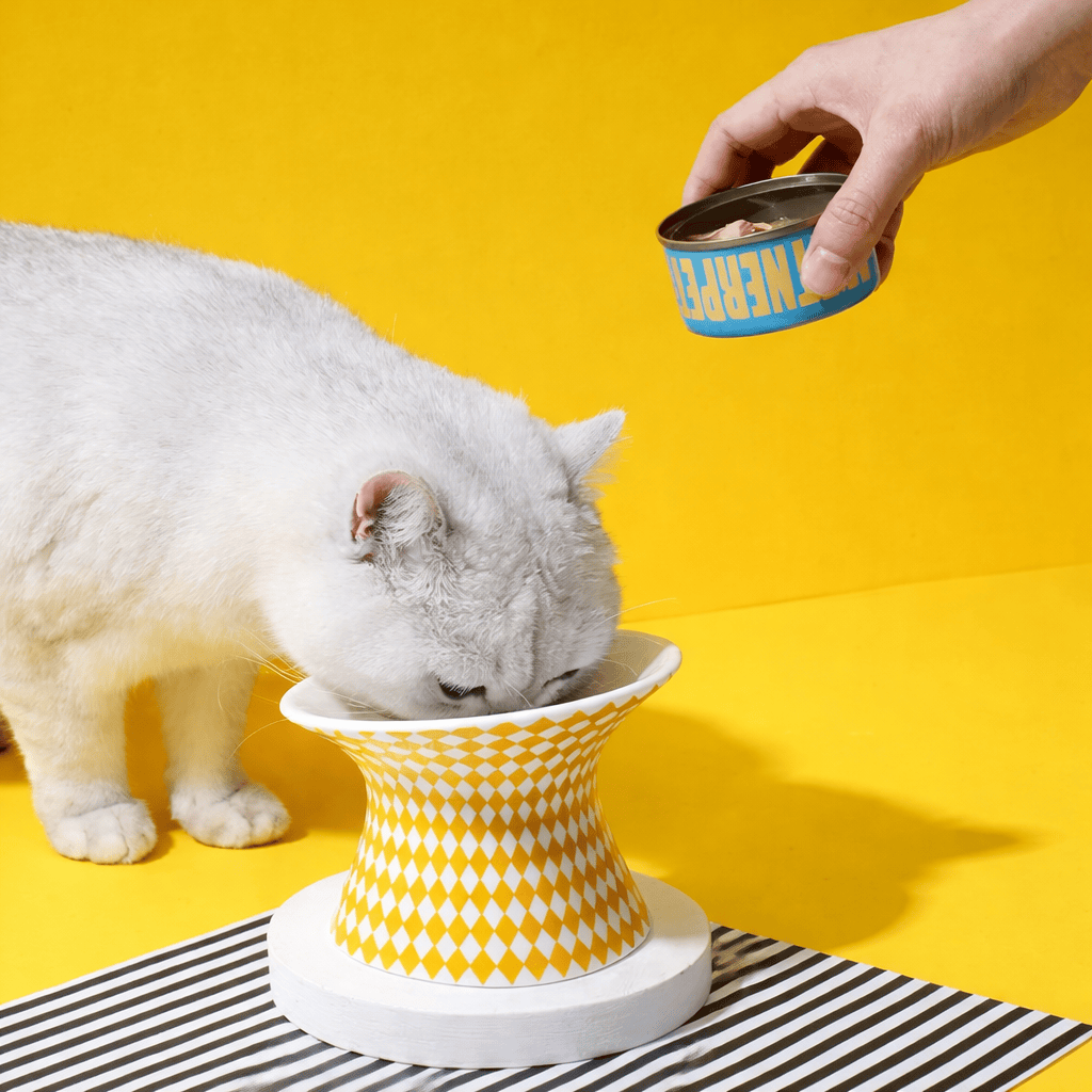 Gamelle en Céramique Design pour Chat