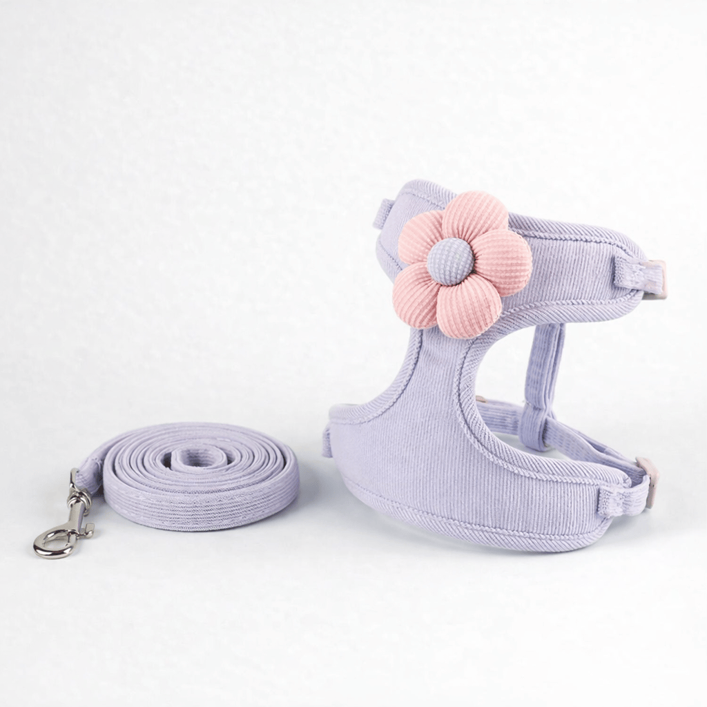 Harnais et Laisse avec Fleur pour Chat