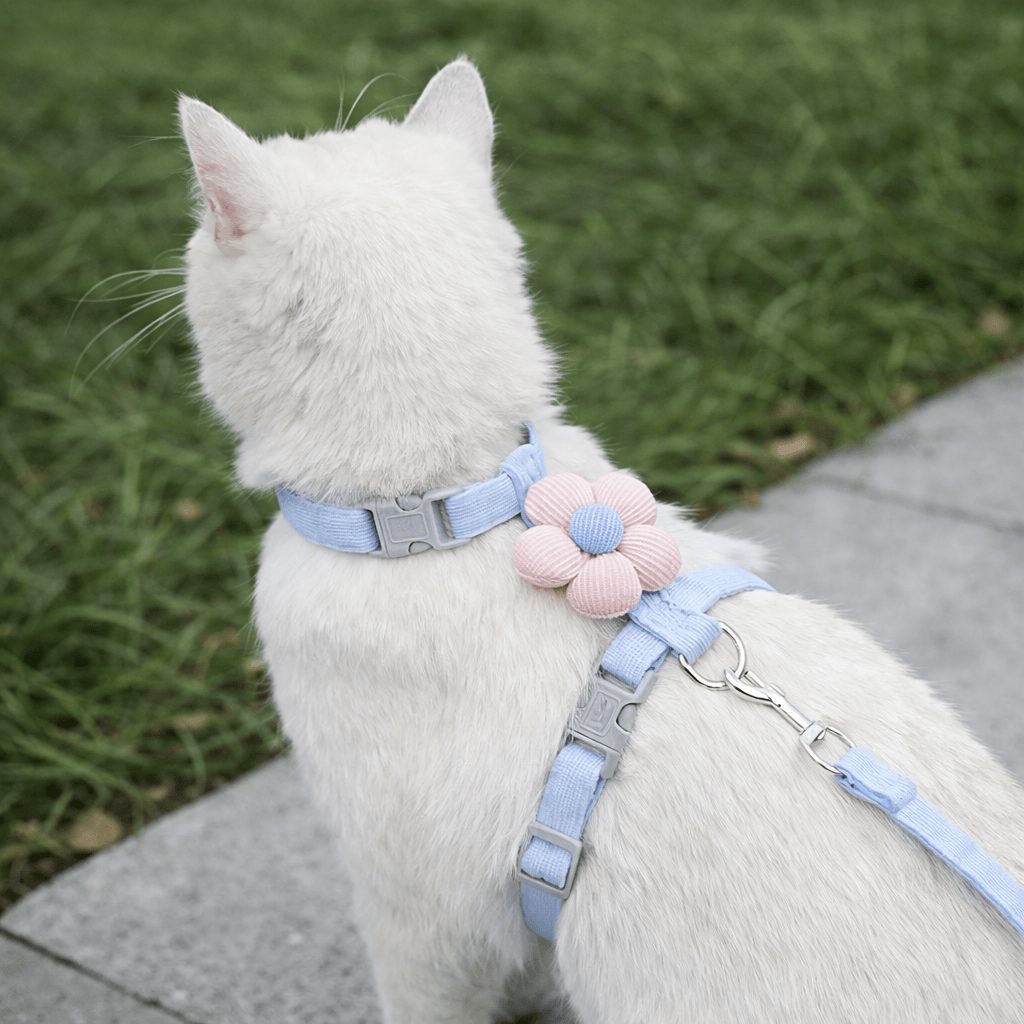 Harnais et Laisse avec Fleur pour Chat