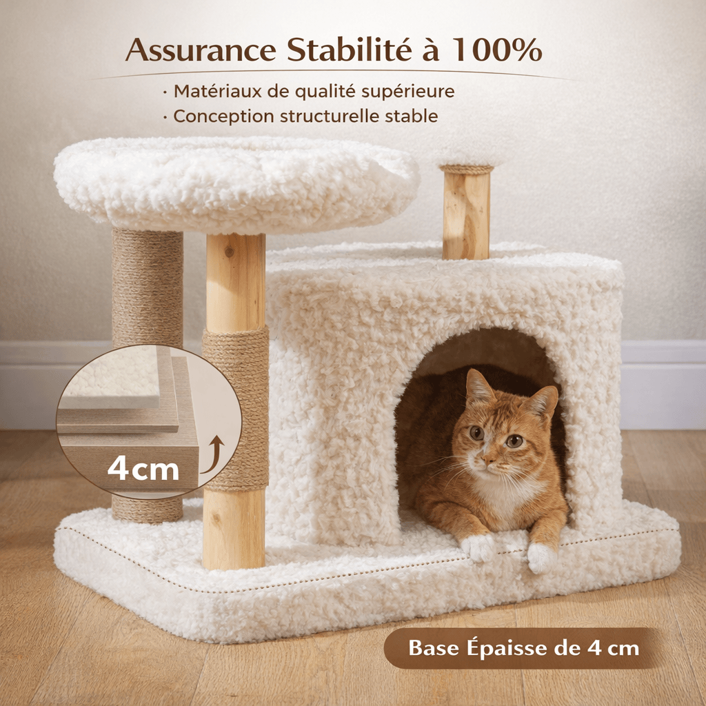 Petit Arbre à Chat de Luxe avec Niche