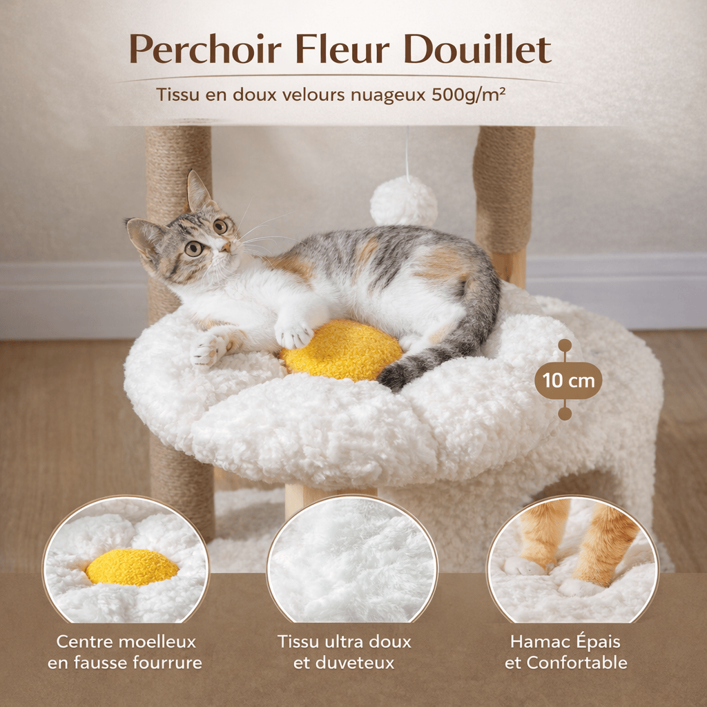 Petit Arbre à Chat de Luxe avec Niche