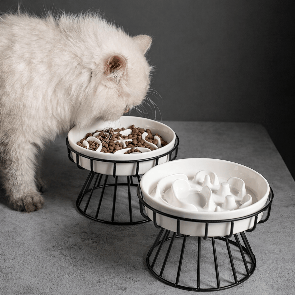Gamelle Surélevée en Céramique pour Chat
