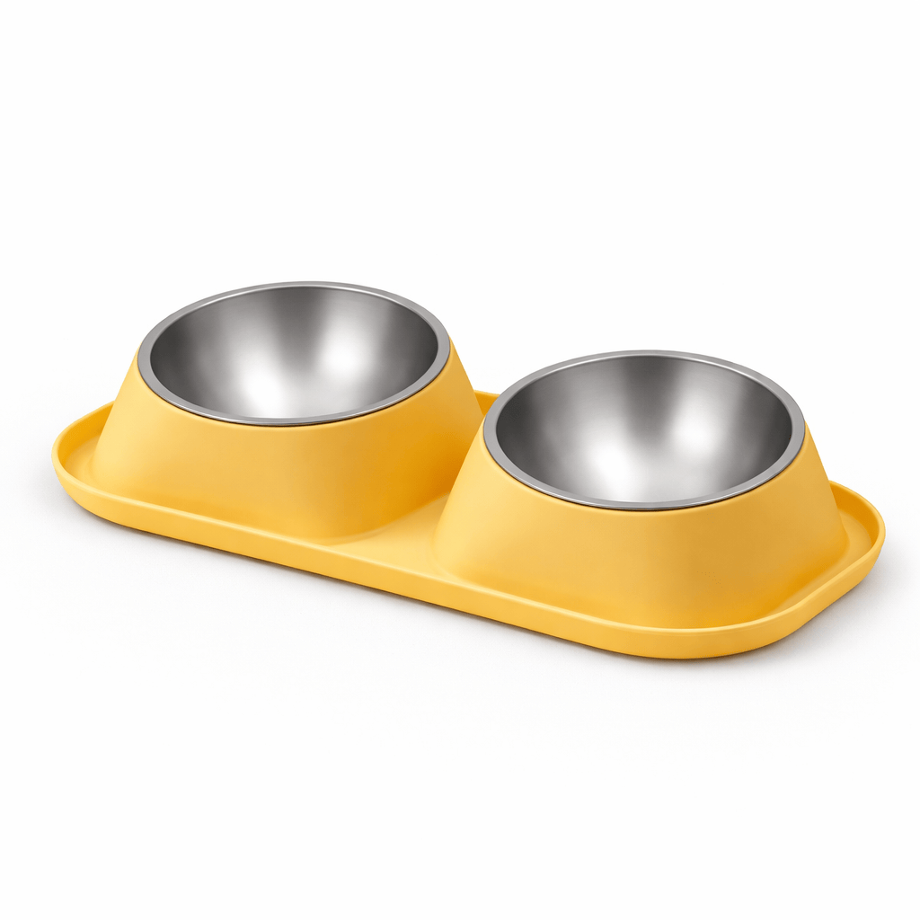 Gamelle Double en Acier Inoxydable pour Chat