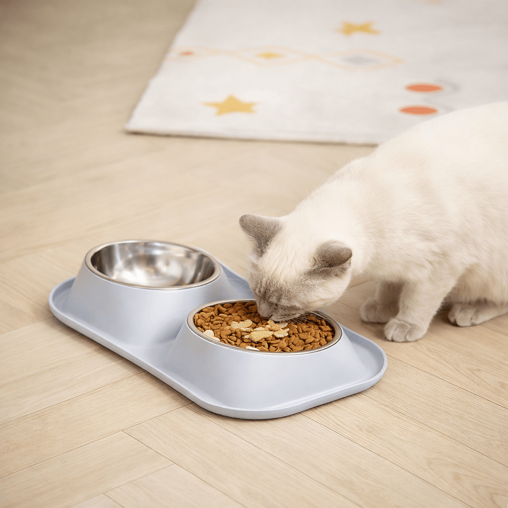 Gamelle Double en Acier Inoxydable pour Chat