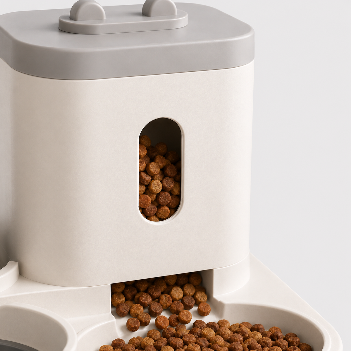 Distributeur de Croquettes avec Fontaine à Eau