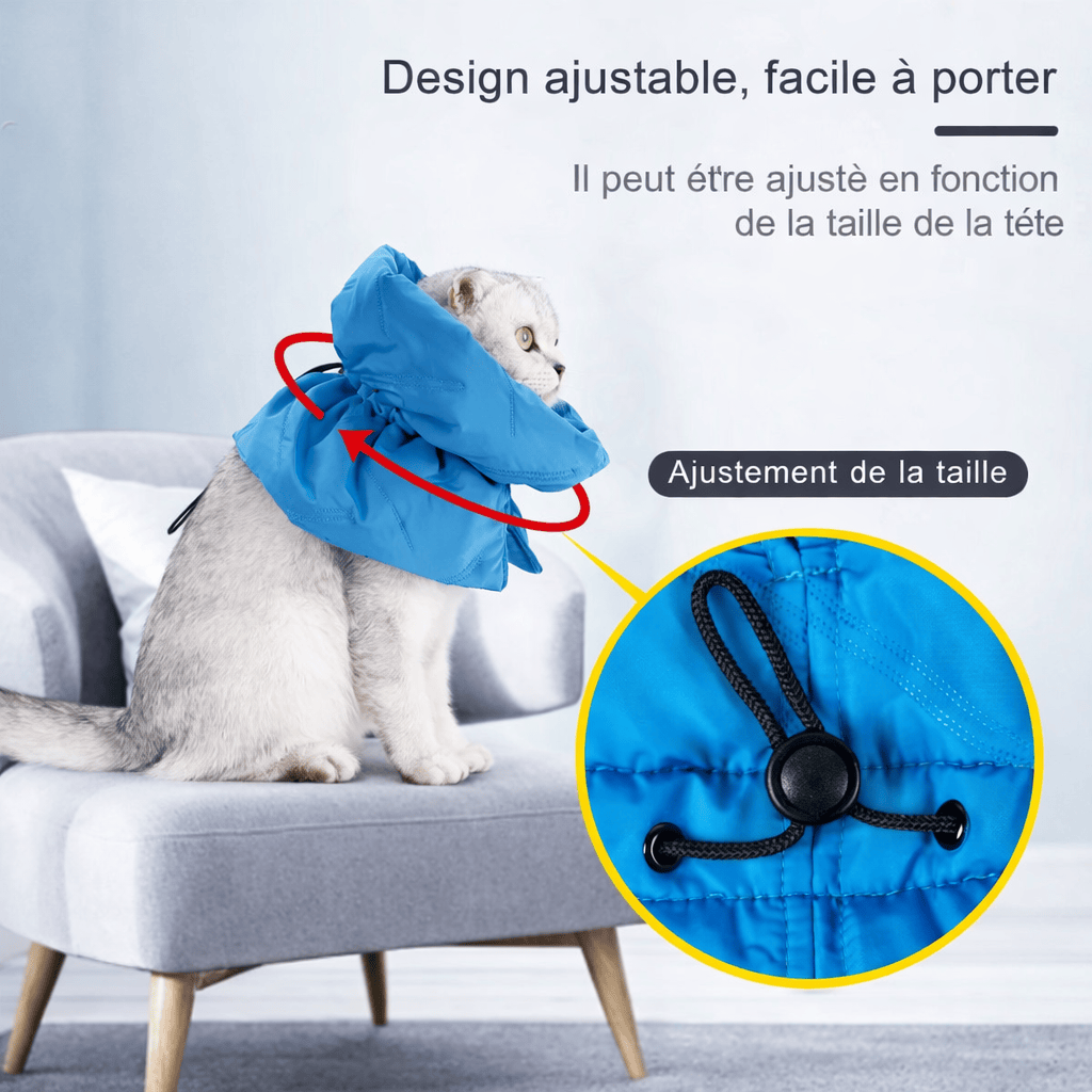 Collier de Protection Elisabéthain pour Chat