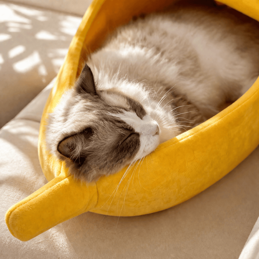 Lit pour Chat en Forme de Banane