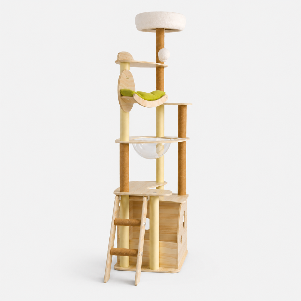 Arbre à Chat en Bois Multi-Niveaux