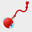 Balle Interactive pour Chat Rechargeable