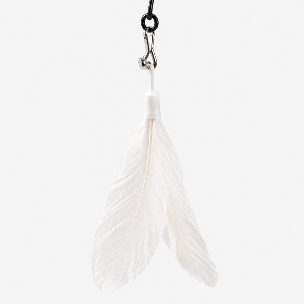Baguette à Clochette et Plumes pour Chat