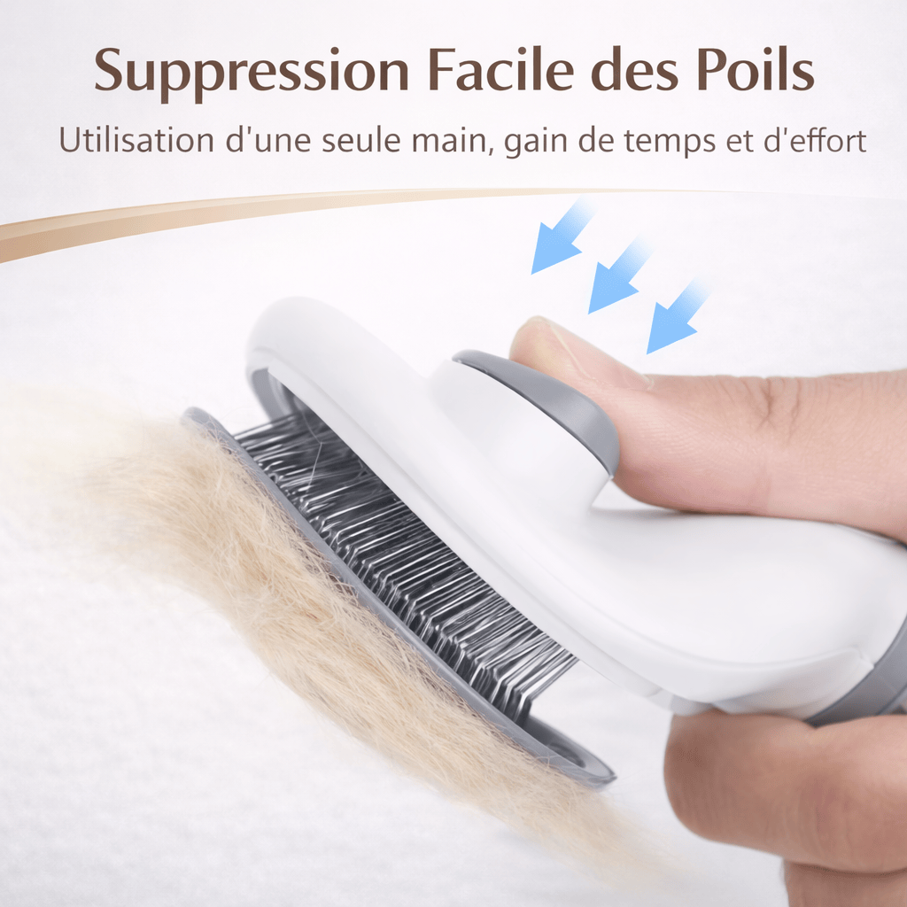 Peigne et Masseur pour Chat