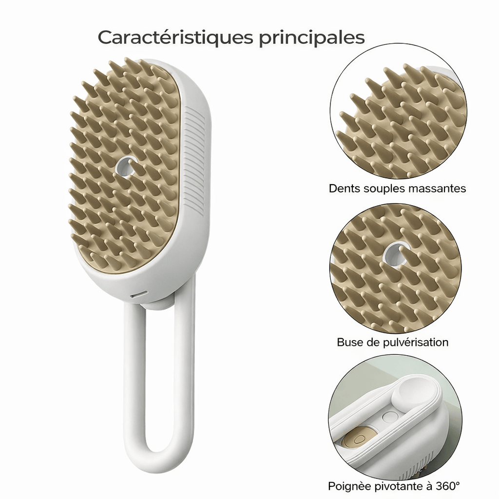 Brosse Electrique 3 en 1 à Vapeur