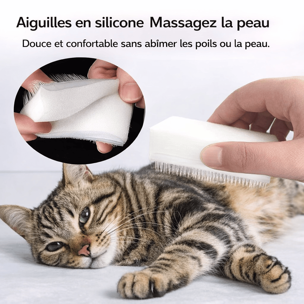 Brosse de massage pour chat