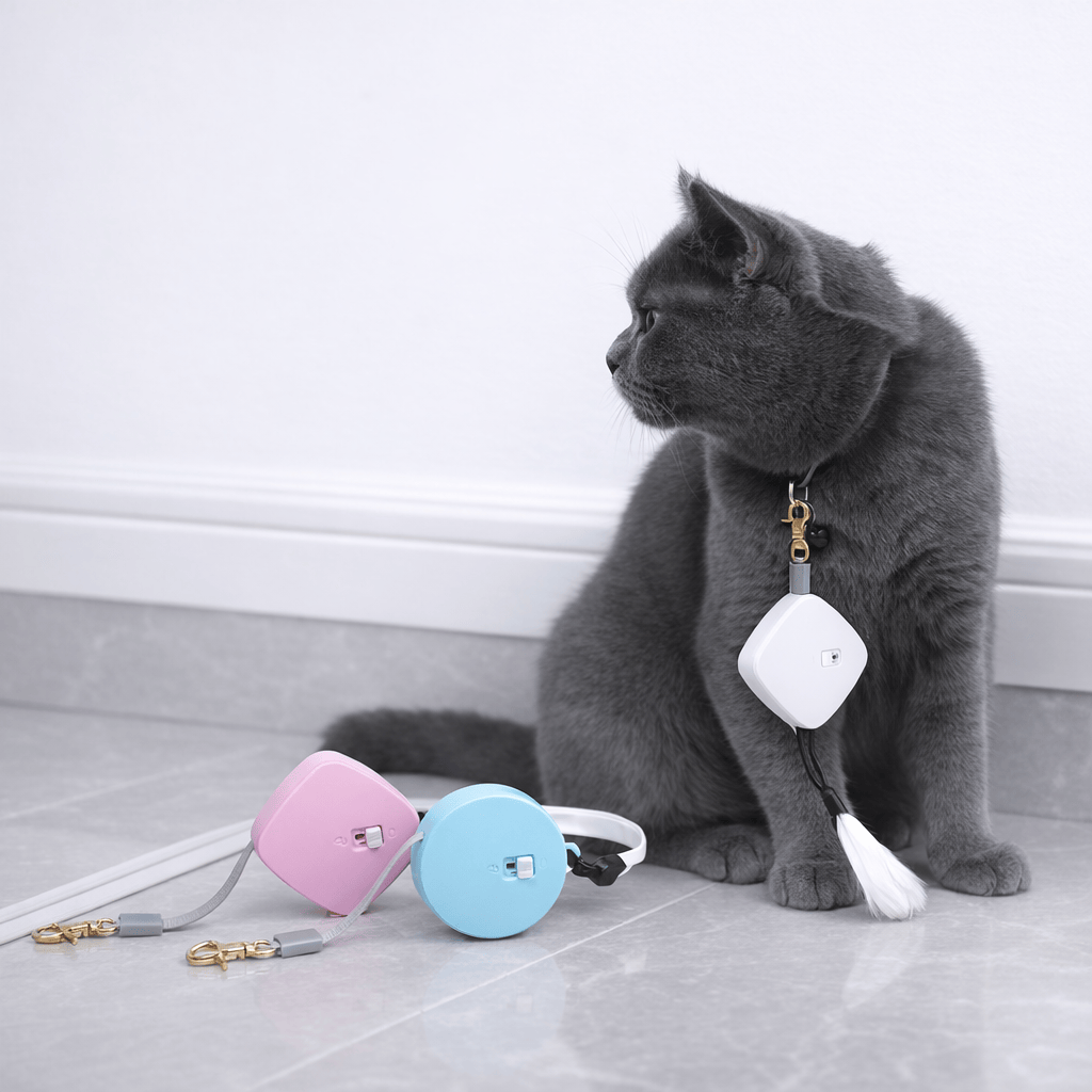 Laisse Rétractable Automatique pour Chat de 2M