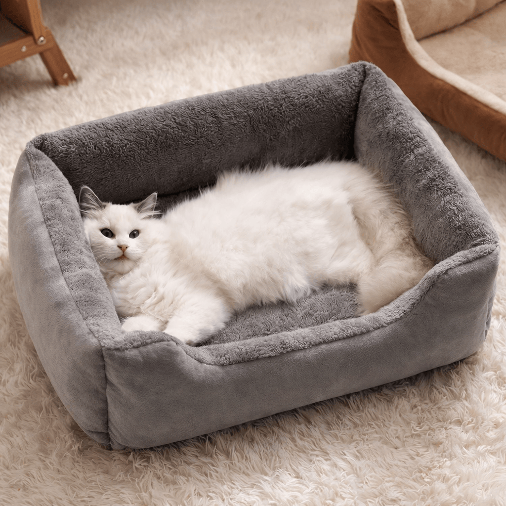 Lits d'Hiver pour Chats
