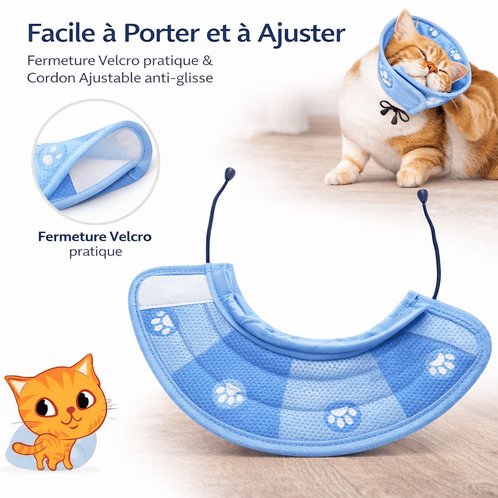 Collier Conique Ajustable pour Chat