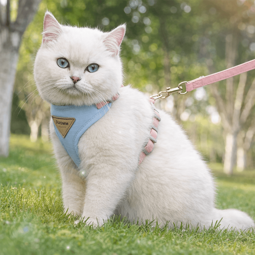 Harnais de Promenade pour Chat