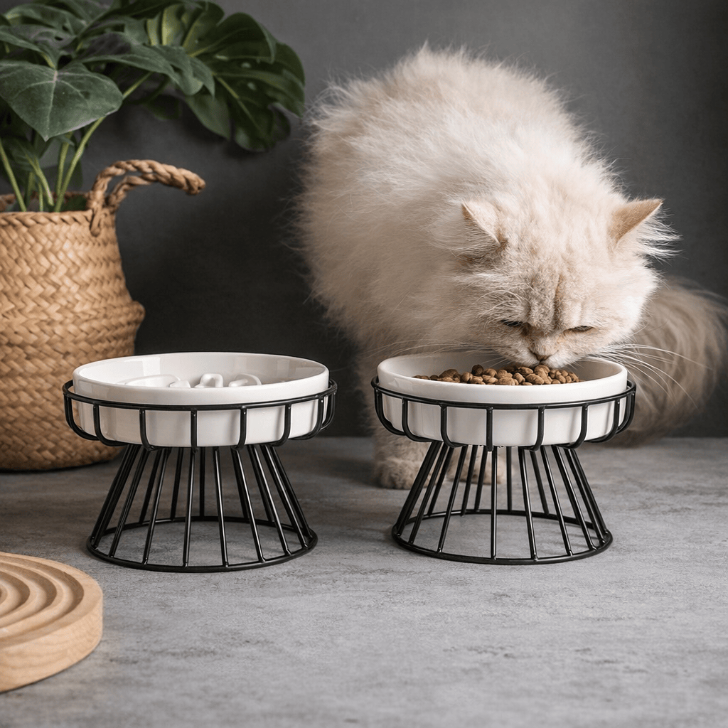 Gamelle Surélevée en Céramique pour Chat