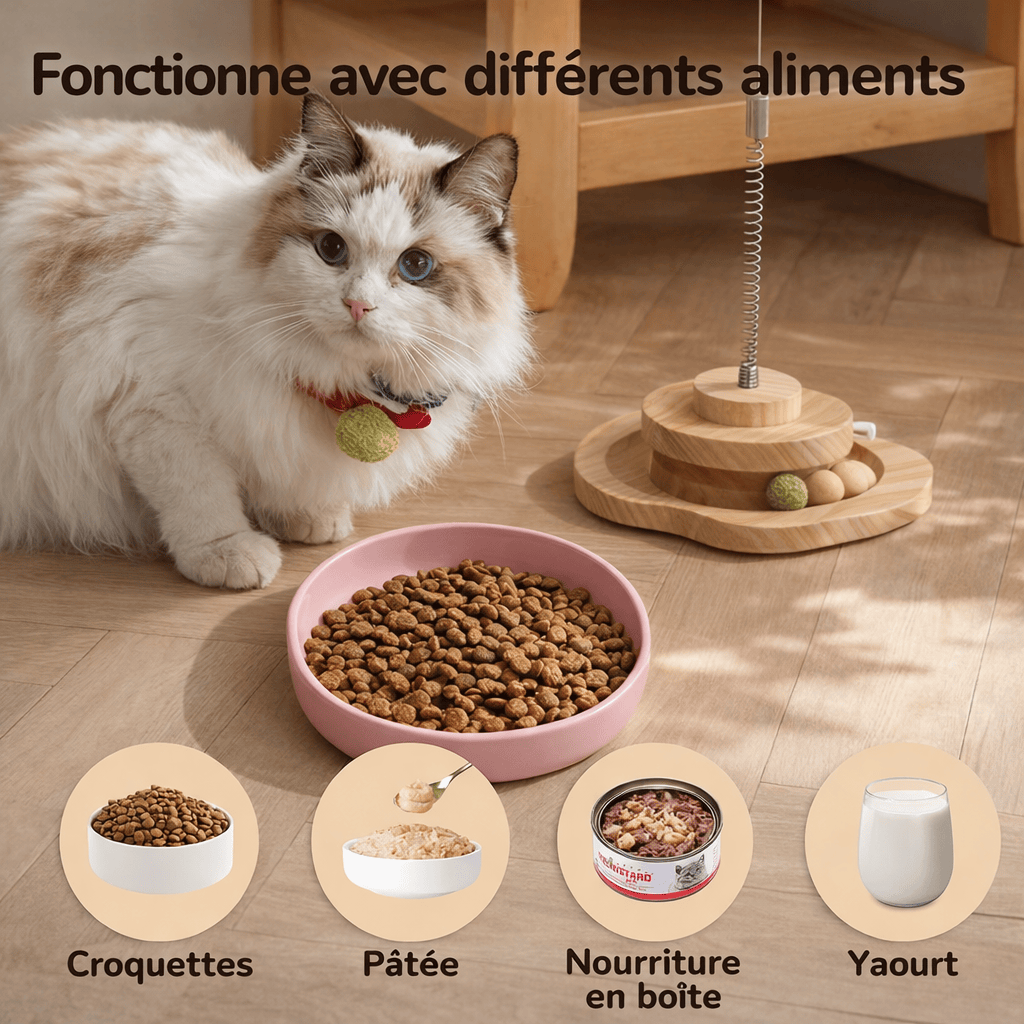 Lot de 2 Assiettes en Silicone Douces pour Chat
